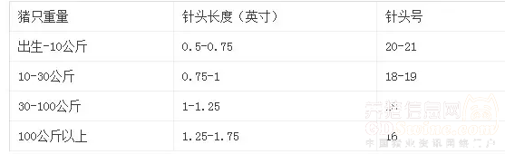 如何给猪打针图:规格注射器针头1